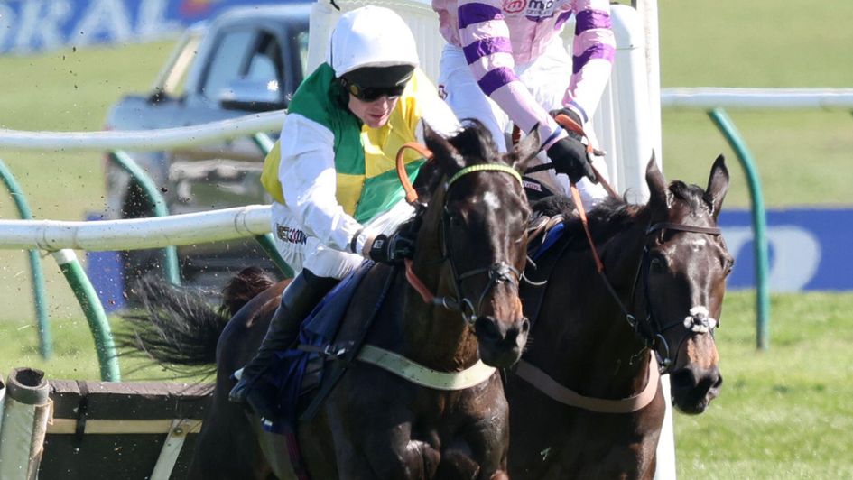Favour And Fortune won the Scottish Champion Hurdle last season