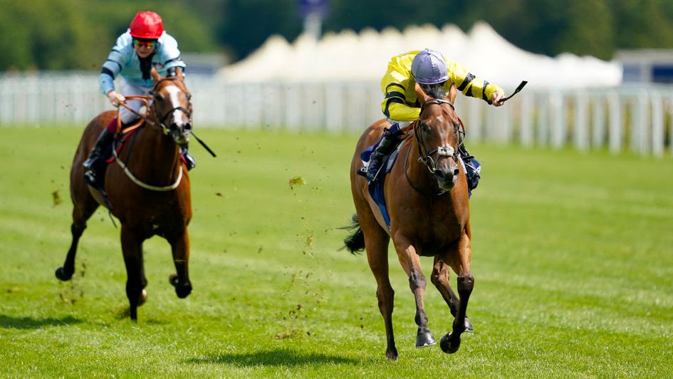 Tis Marvellous wins under Kevin Stott