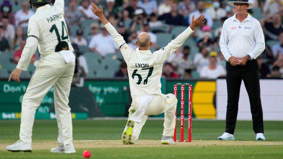 Nathan Lyon won this appeal for LBW