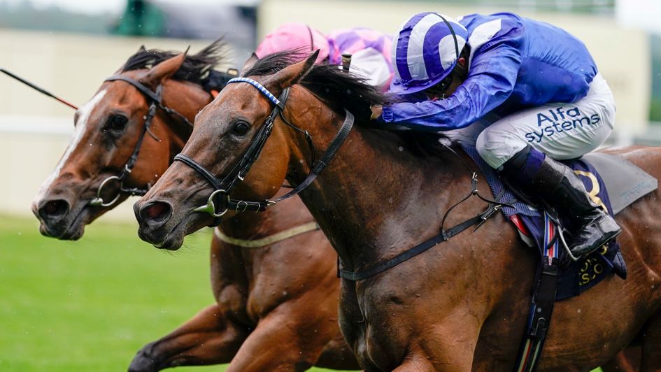 Nazeef edges out Agincourt in a thriller