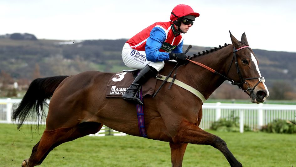 Equus Secretus in action at Cheltenham