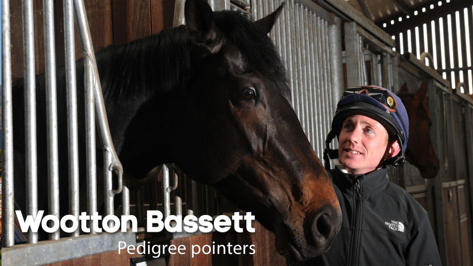 Wootton Bassett: The sire of Almanzor
