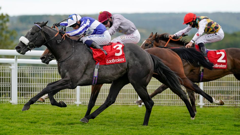 Happer Power gets the better of Toro Strike and Escobar at Goodwood