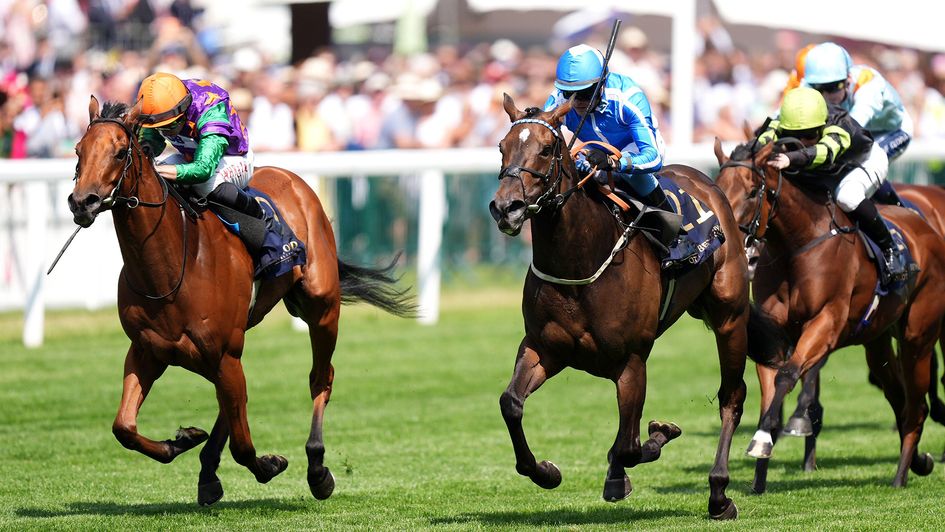 Venetian Sun (blue silks) wins the Commonwealth Cup