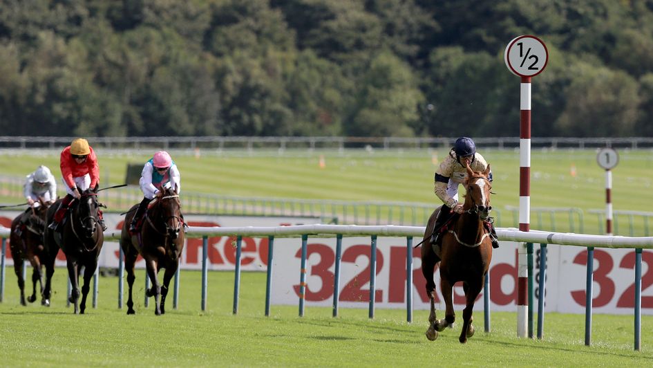 Haydock news: Company Asset displays her worth