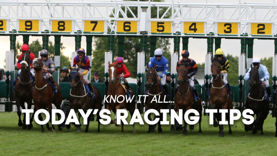 Check out the latest race-by-race selections