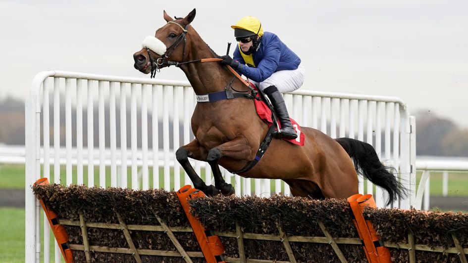 Ajero could be heading for the Scottish Champion Hurdle