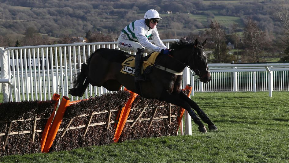 Botox Has wins at Cheltenham