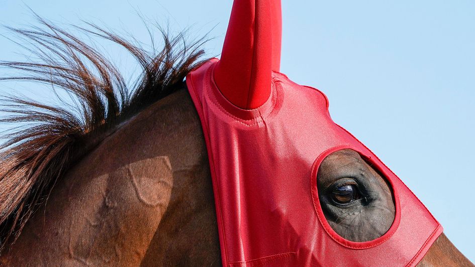 A runner wears a red hood at Lingfield Park