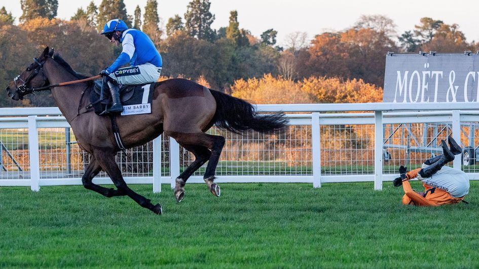 Boothill is left in front as Saint Segal falls at the last