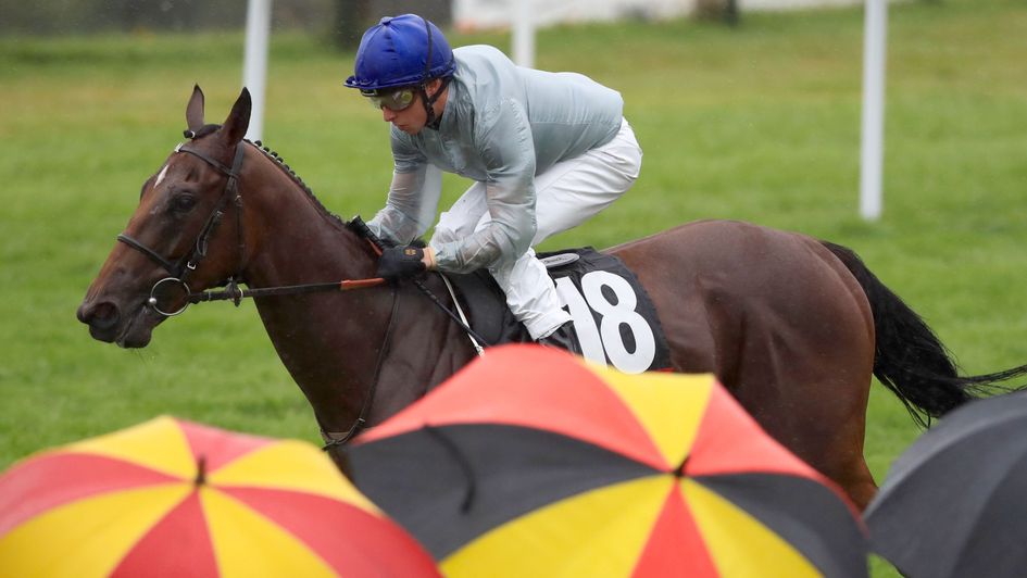 Threading makes a stylish winning debut at Goodwood