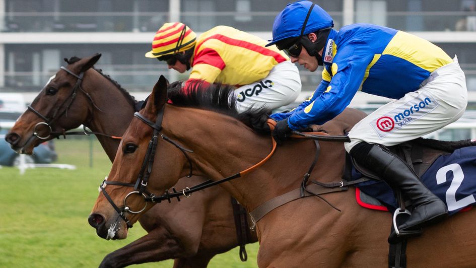 Rubber Ball battles to victory at Newbury