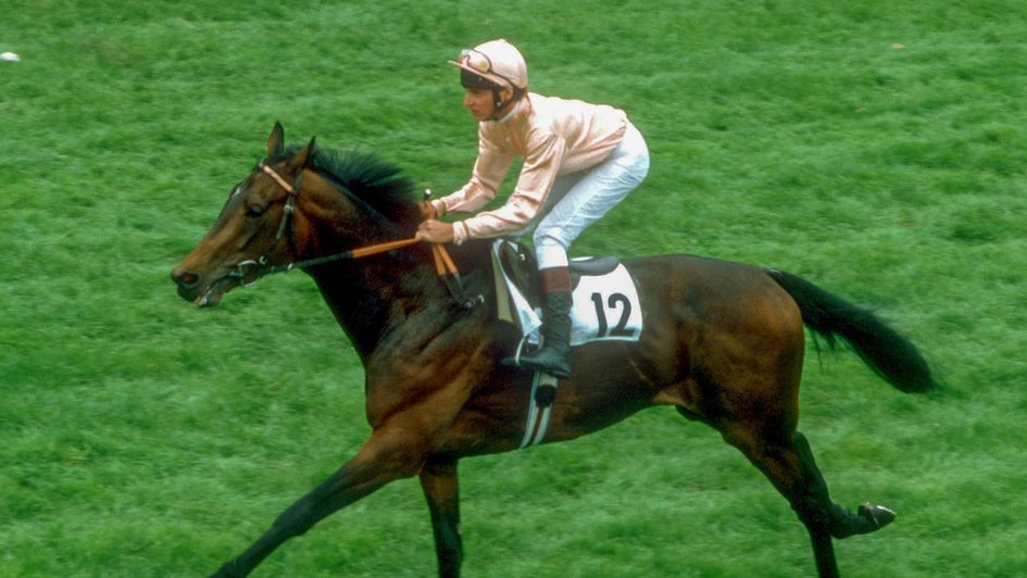 Steve Cauthen on Slip Anchor