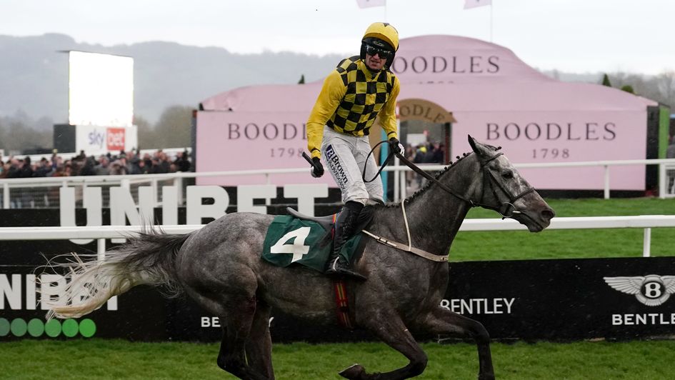Gaillard Du Mesnil wins at Cheltenham
