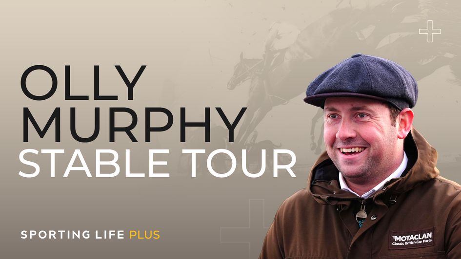 Olly Murphy Stable Tour 2026-27