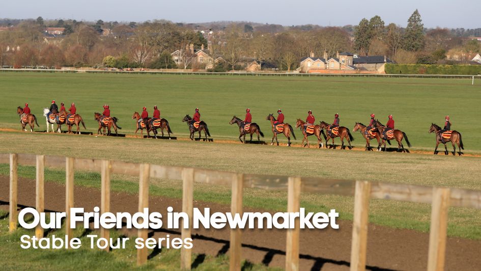 Check out the latest from trainers in Newmarket