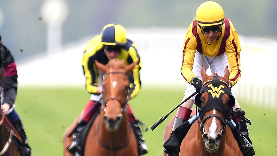 Lady Pauline in action at Ascot