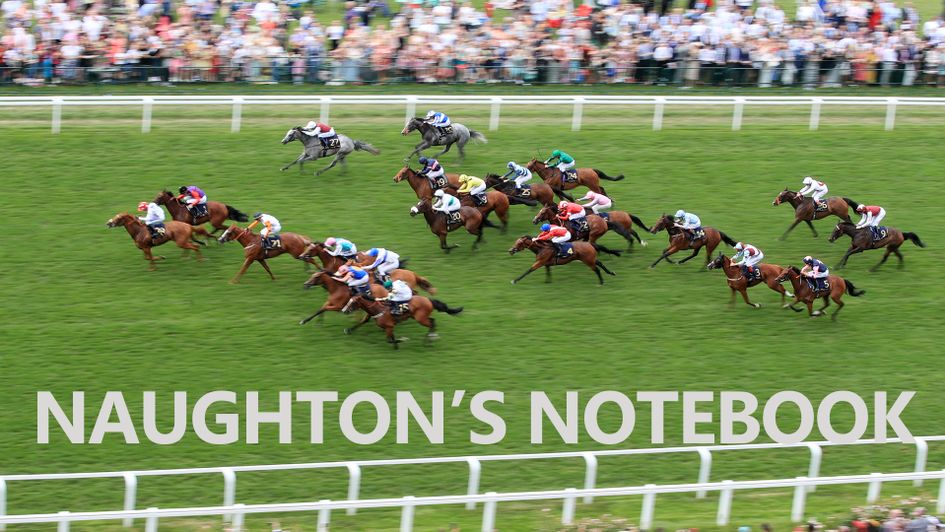 Peter Naughton with his horses to follow