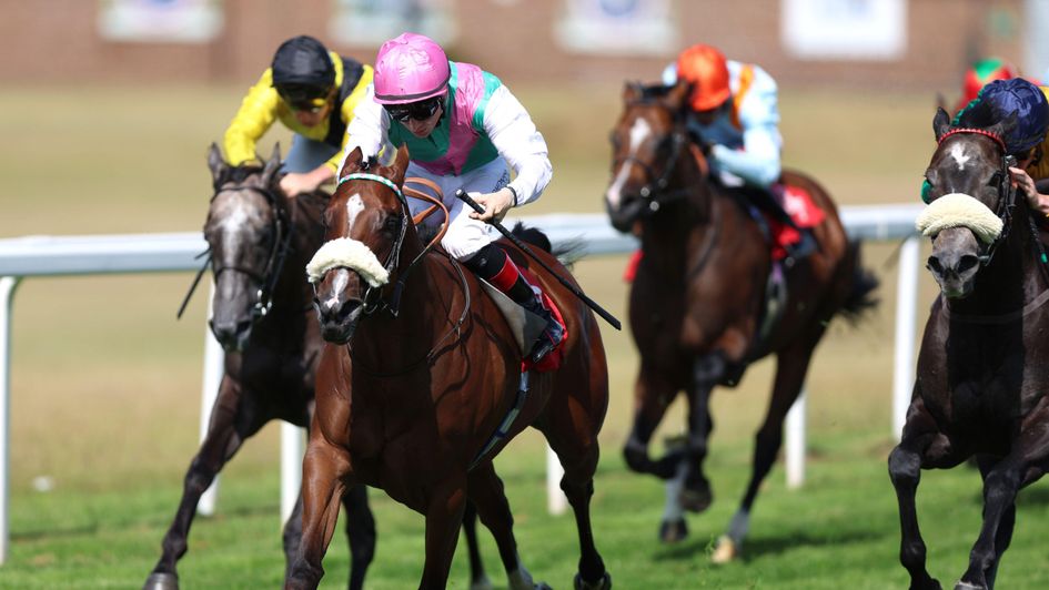 Kassaya wins at Sandown