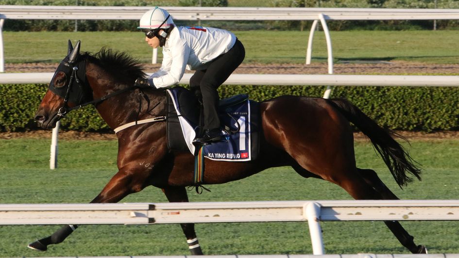 Ka Ying Rising gallops at Canterbury Racecourse