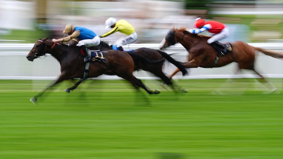 Map Of Stars wins the Wolferton