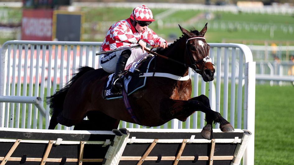 Jingko Blue was a well-backed winner of the BetMGM Cup Handicap Hurdle