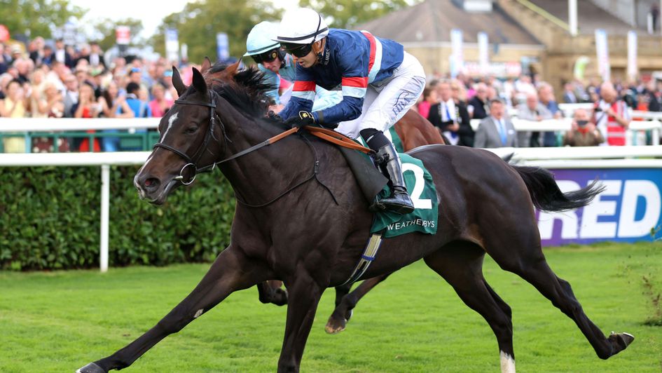 Calendar Girl wins under Saffie Osborne