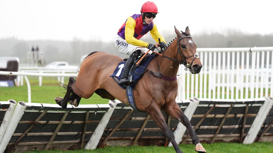 Sober Glory saunters to victory at Newbury