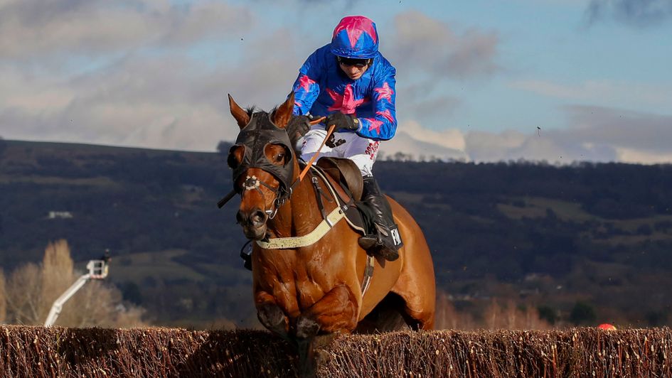 Royal Vacation was impressive when winning at Cheltenham in January