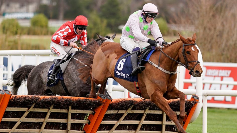 Vauban: the one to beat in the Triumph Hurdle