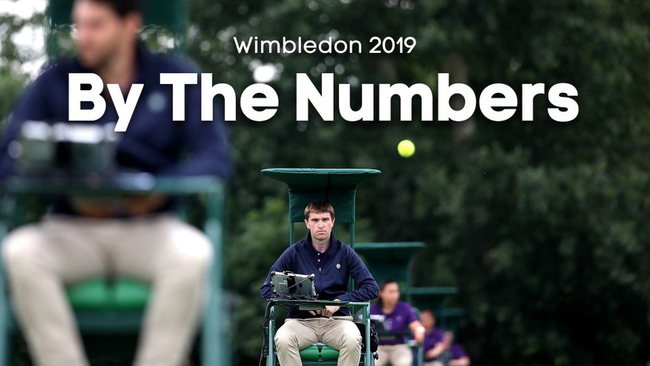 A numerical look at Wimbledon