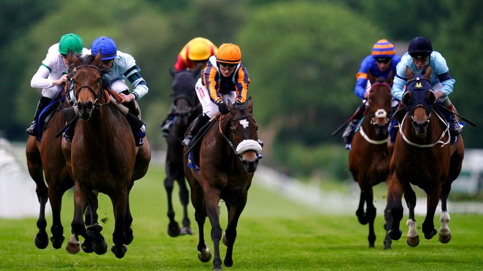 Quickthorn (left, blue cap) battled bravely to win the Henry II Stakes