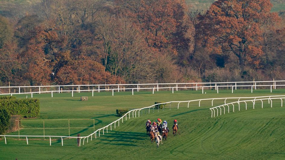 Cheltenham's November Meeting