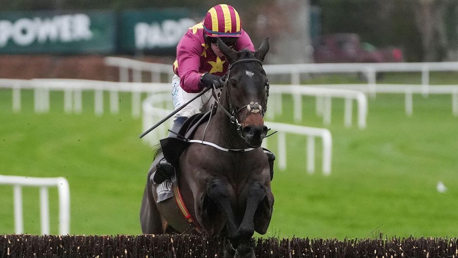 Koktail Divin ridden by Darragh O'Keeffe