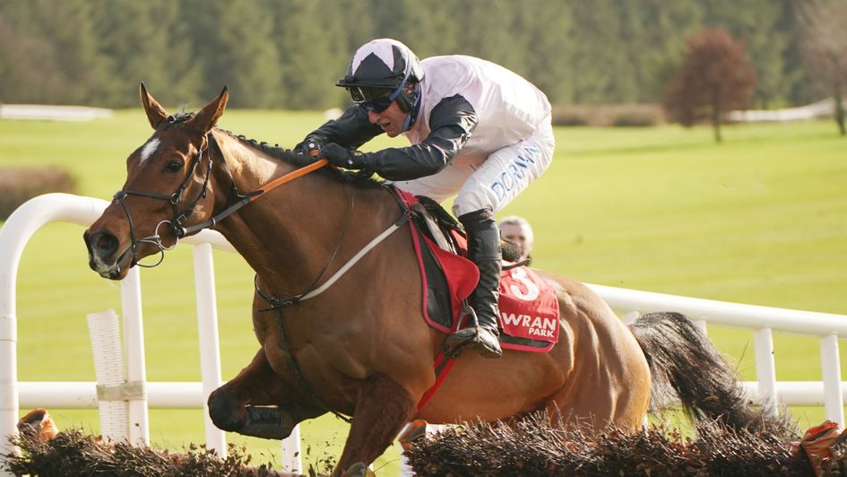 Teahupoo - slashed for the Champion Hurdle