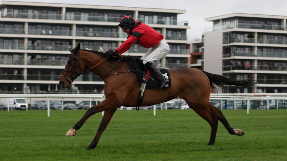 The very exciting Ahoy Senor