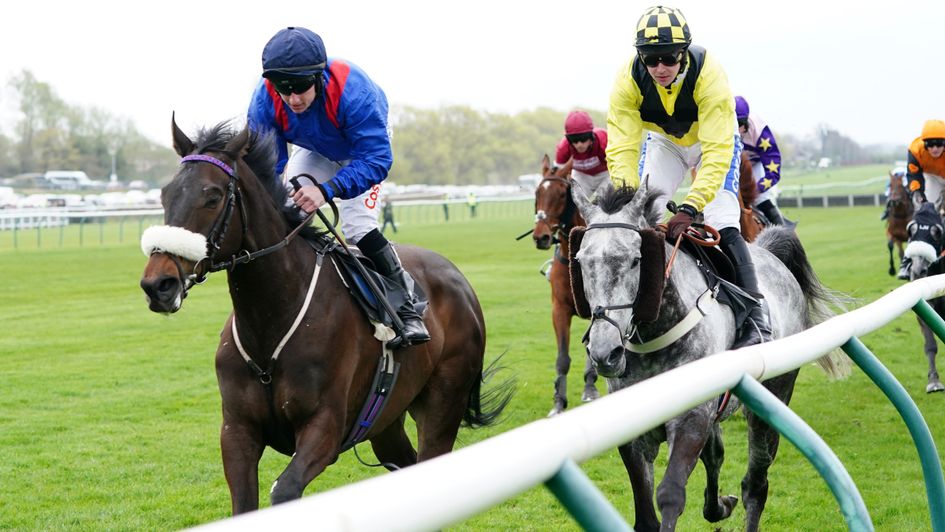 Malystic comes out on top at Ayr