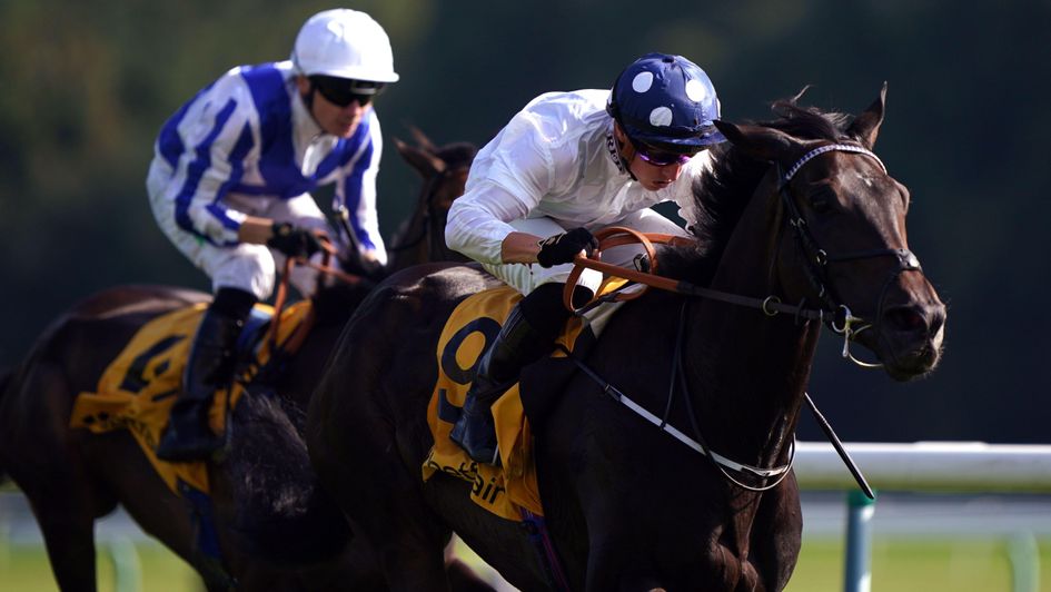 Post Impressionist wins at Haydock