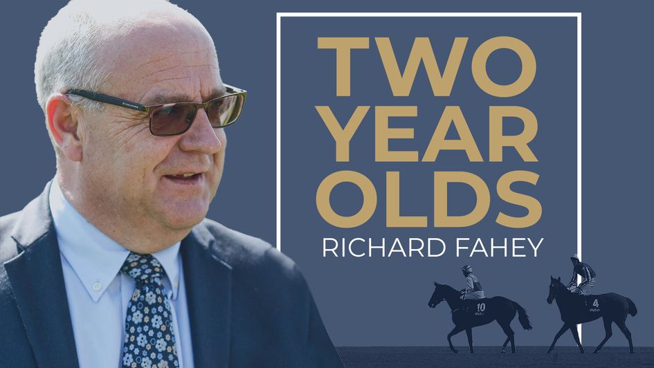 Two-Year-Old Guide Richard Fahey