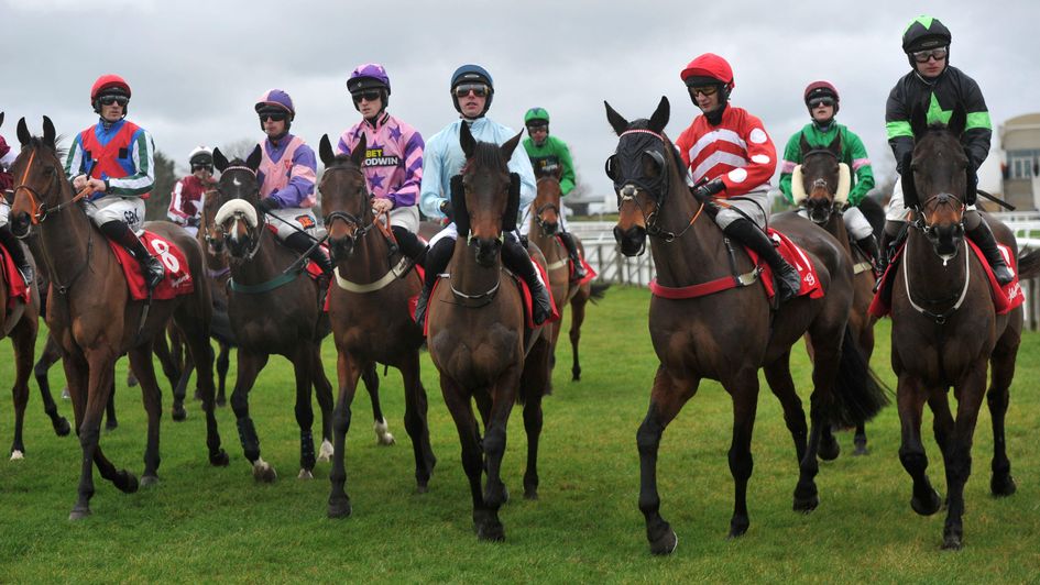 They're going to review the starts after Cheltenham