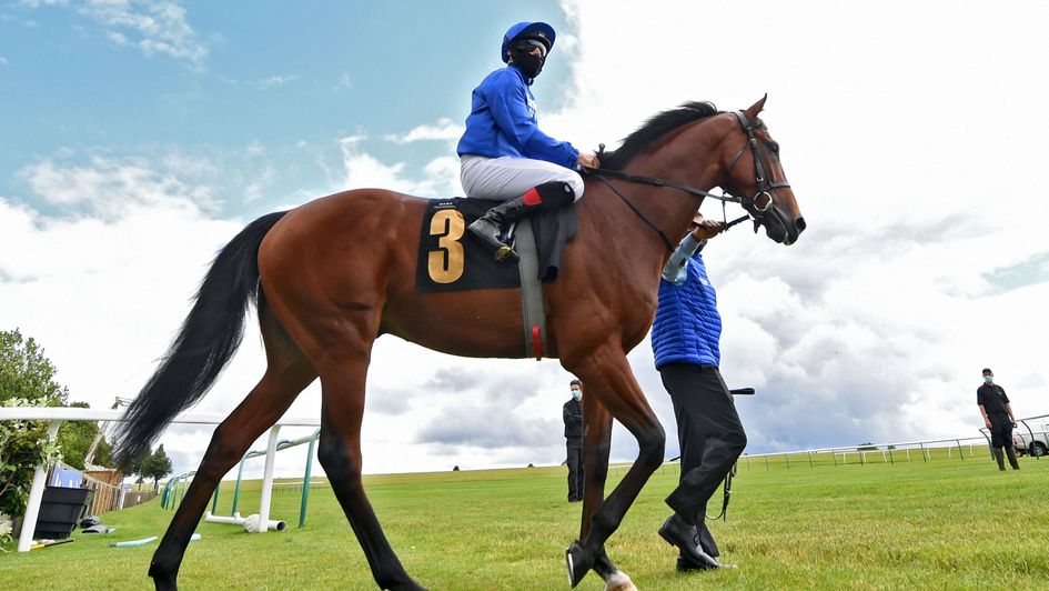 Master Of The Seas - made winning start for Godolphin
