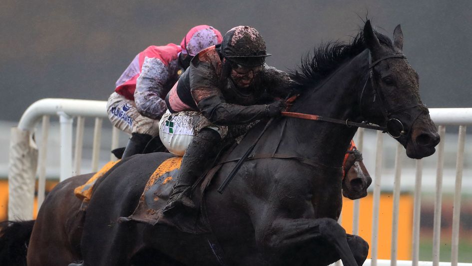 Third Wind - won at Haydock