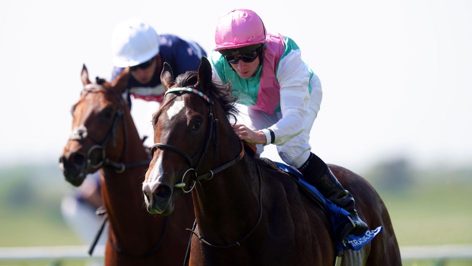 Cosmic Year wins under Ryan Moore