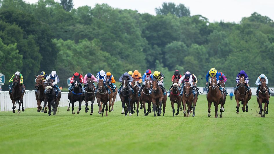 Jamaican Storm finished 10th at York but can go close to winning soon