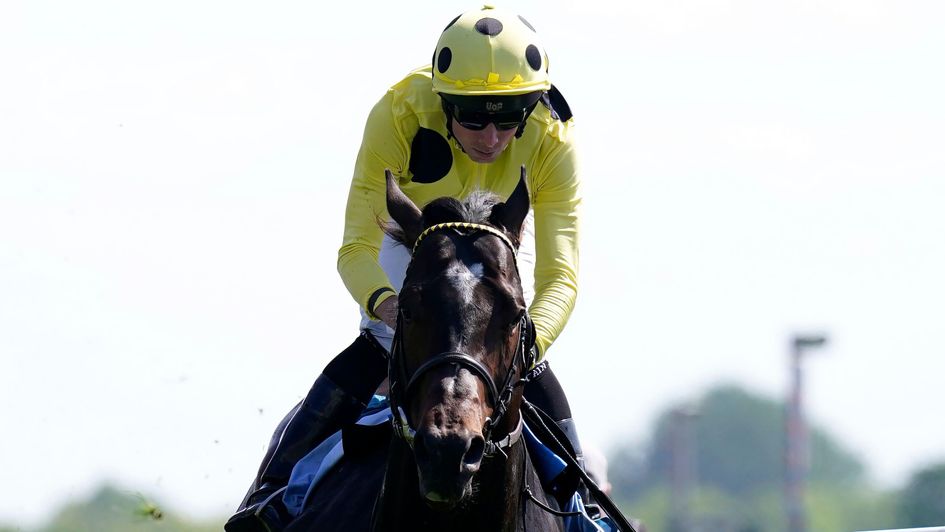 Inisherin wins the Duke Of York