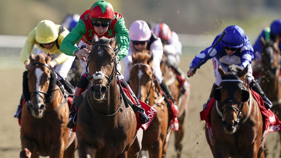 Diligent Harry has a good chance in the Hackwood Stakes