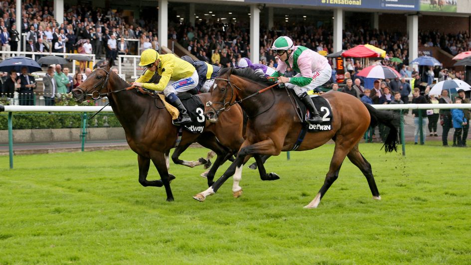 Absolutely So (l) and Jallota