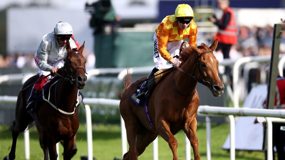 Sleeping Lion wins under Jamie Spencer