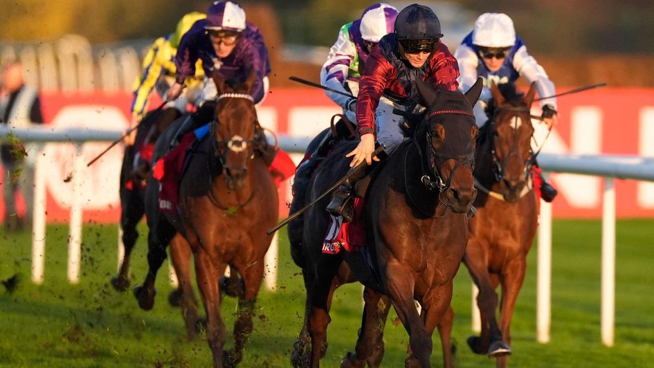 Castle Cove sluices up in the November Handicap