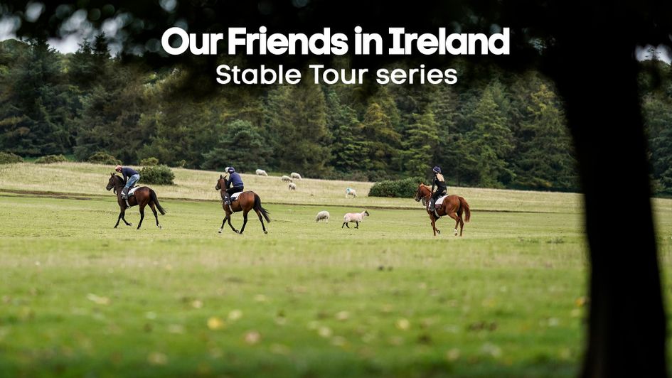 Check out the latest Stable Tours from Ireland